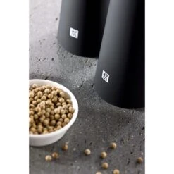 Zwilling Salzmühle 19 Cm, Kunststoff, Schwarz -Zwilling 000021025 1